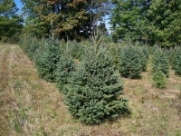 ws_5-6ft
